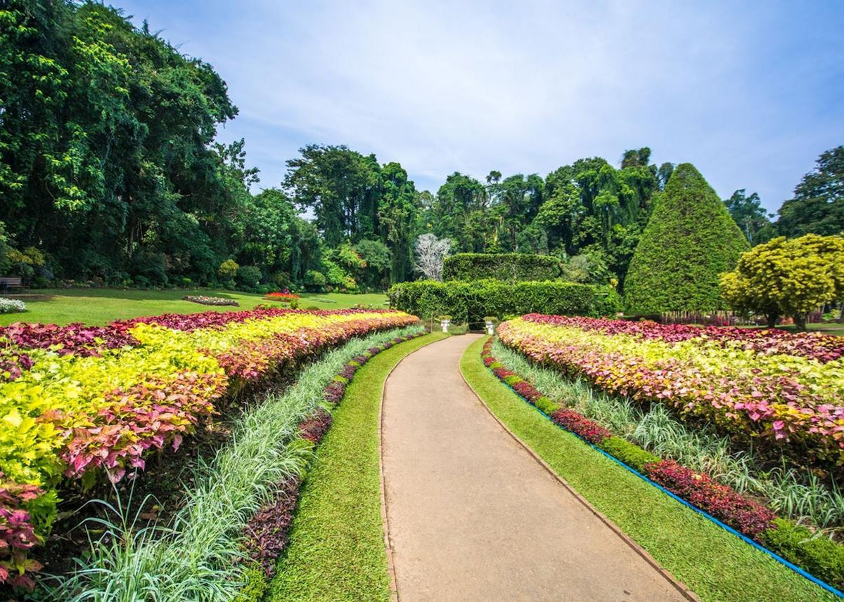 14-Day Sri Lanka Tour Itinerary