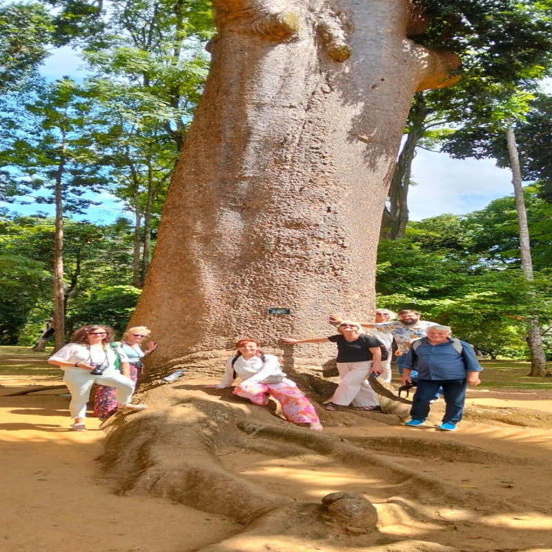 Ceylon Luxury Explorer - 12 Days (Hotels with Breakfast & Luxury vehicle ) (Minimum 6 Pax )