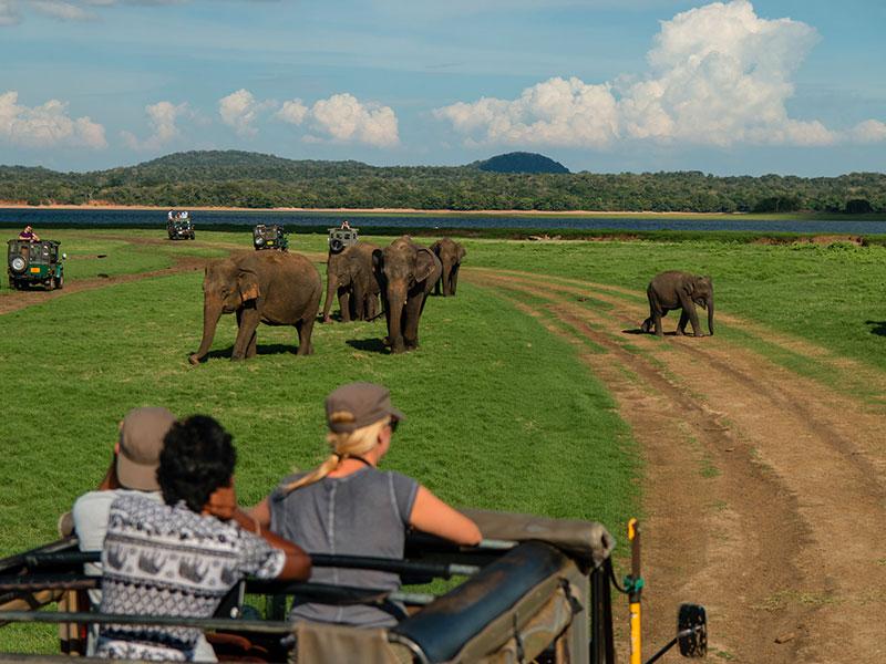 10-Day Sri Lanka Tour Itinerary