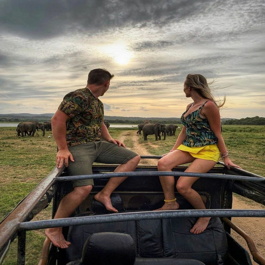 Private Car & Driver – 7 Days Sri Lanka Tour ( Max 3 Pax)