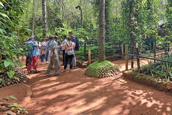 14-Day Sri Lanka Tour Itinerary