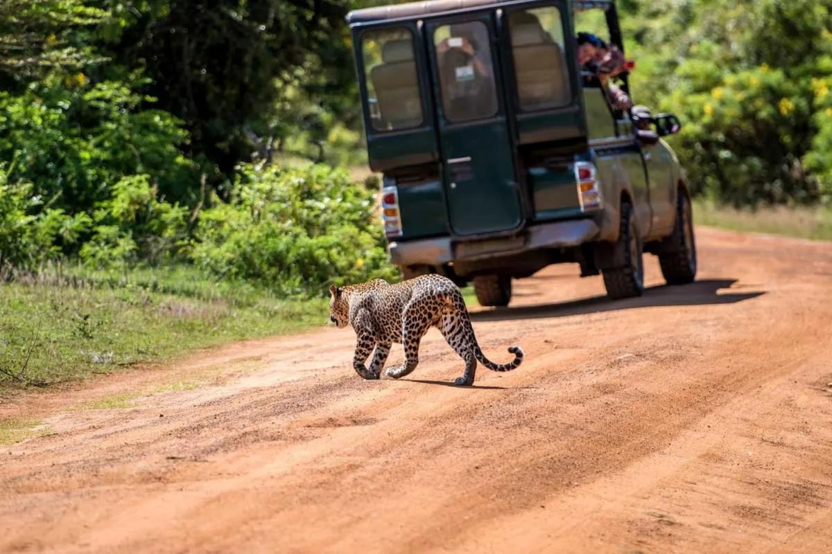 7-Day Sri Lanka Tour Itinerary