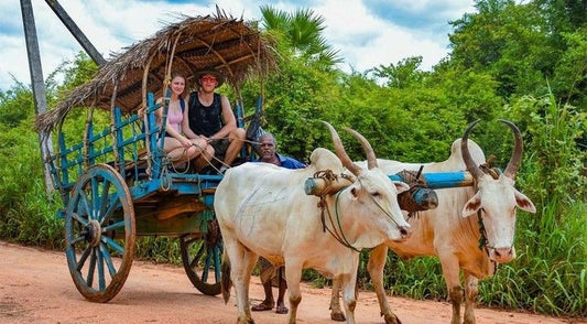 Habarana -Hiriwadunna Village And Lake Adventure tour (price per person)