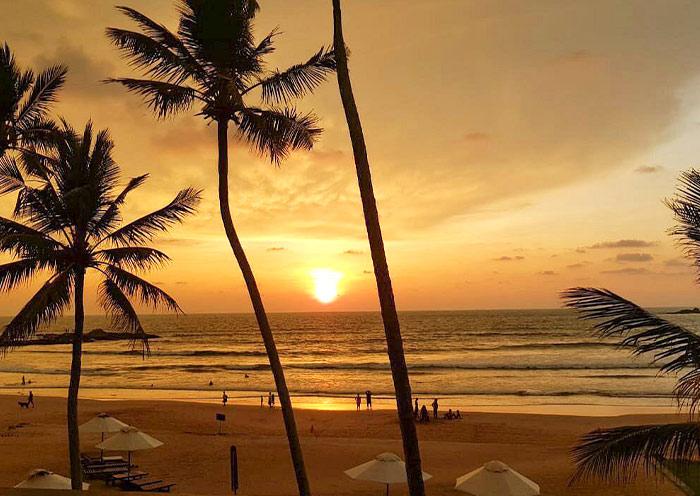 Sri Lanka Grand Escape – 10 Days (Max People - 8 )