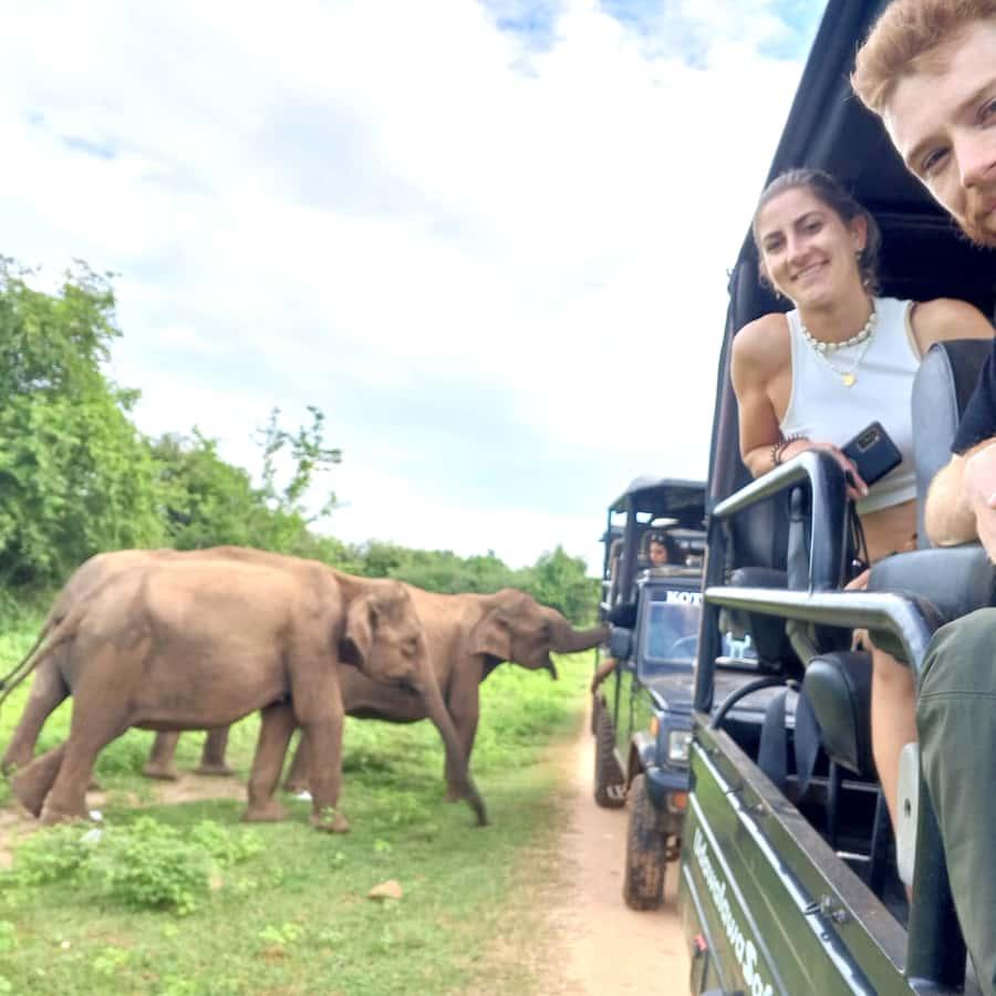 Minneriya National Park Safari Private Jeep (Price up to 6 pax )