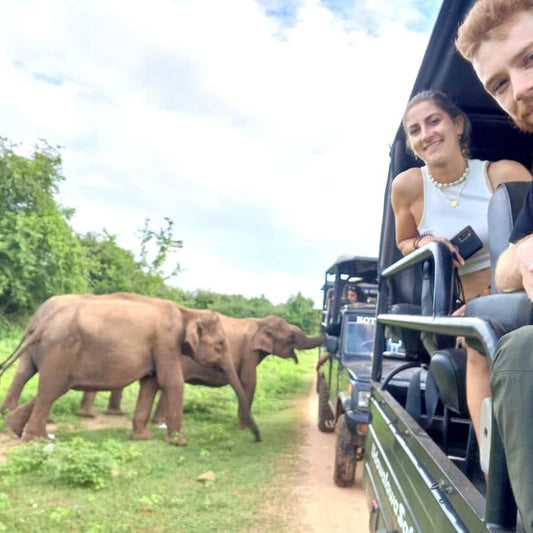Minneriya National Park Safari Private Jeep (Price up to 6 pax )