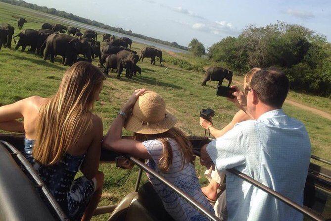 Minneriya National Park Safari Private Jeep (Price up to 6 pax )