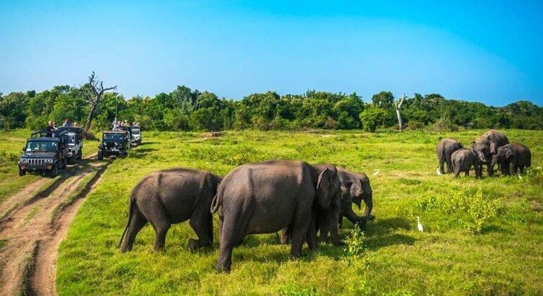 10-Day Sri Lanka Tour Itinerary