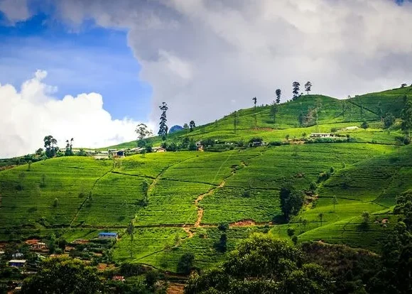 Hatton – The Starting Point for Pilgrimage and Tea Country Exploration